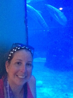 the dolphins did not want to cooperate with my selfie